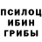 Псилоцибиновые грибы мухоморы Rini Akarui