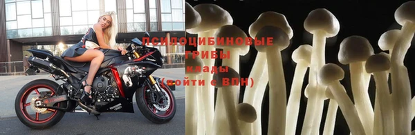 шишки Вуктыл