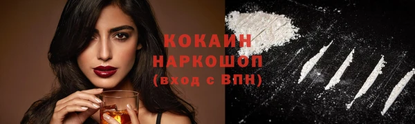 шишки Вуктыл