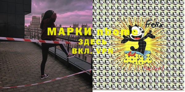 индика Баксан