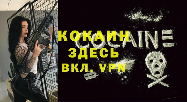 индика Баксан