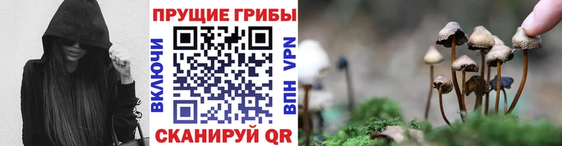 Псилоцибиновые грибы Magic Shrooms  хочу наркоту  Козьмодемьянск 